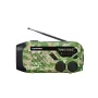 Blaupunkt ER10GC radio analógica portátil FM/AM con antena telescópica, altavoz integrado, asa de transporte, verde
