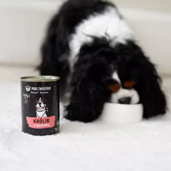 Paka Zwierzaka Seventh Heaven Alimento completo para conejos adultos con conejo y arándano, 400g