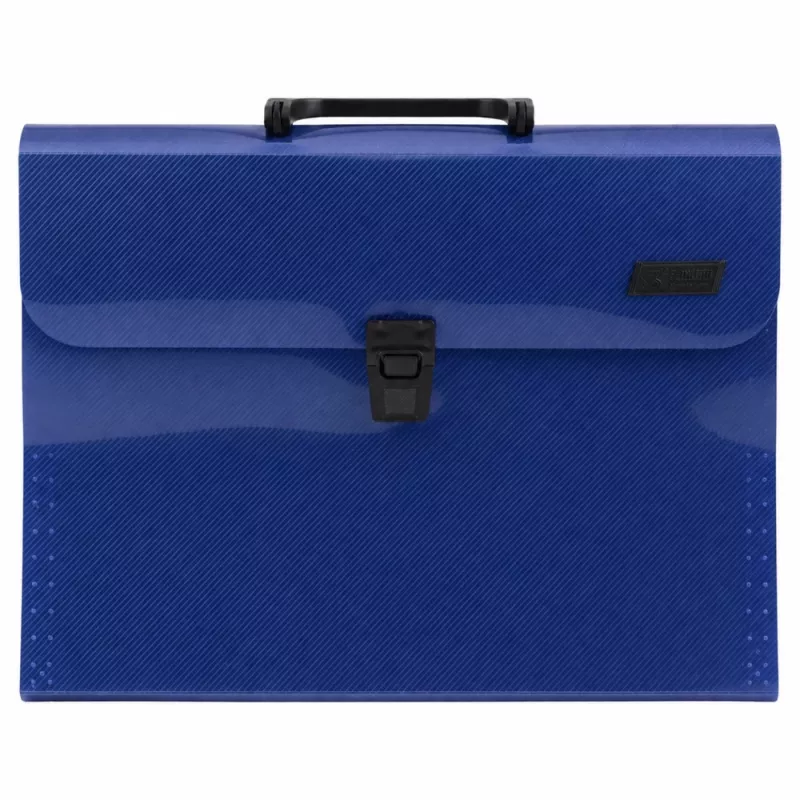 LEAN Organizador acordeón para documentos, 13 compartimentos, Azul, A4
