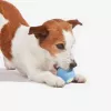 Cheerble Wicked Ball SE juguete interactivo para perros pequeños, azul