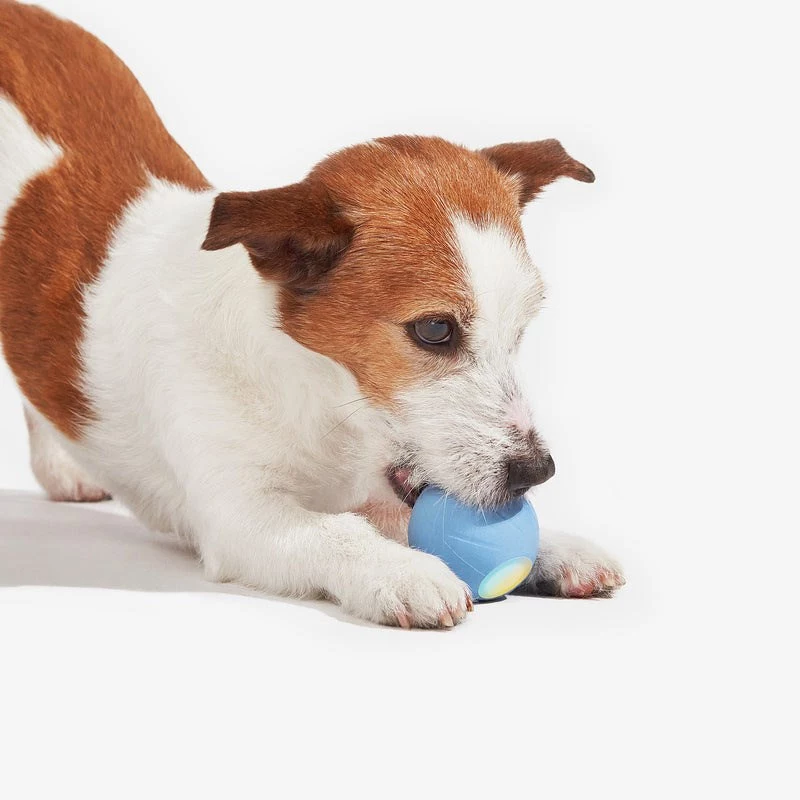 Cheerble Wicked Ball SE juguete interactivo para perros pequeños, azul