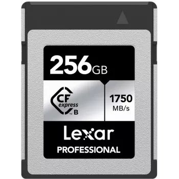 Lexar Professional CFexpress Type B tarjeta de memoria 256GB, Silver Series (LCXEXSL256G-RNENG)