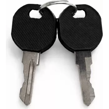 DSIT DS-LOCK-KEY Llave adicional para puertas de armarios de servidor, incl. llave de repuesto