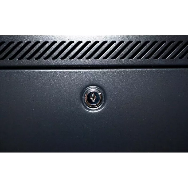 DSIT DS6409 armario de servidor de pared 9U con puerta de cristal, 600x450x500 mm, Negro