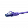 DSIT CAT6a Cable de red 100% cobre - U/UTP - 0,15 m - violeta (DC-U6A8-001)