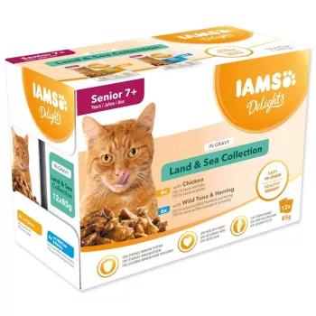 IAMS Delights Senior Land & Sea Collection en salsa – alimento húmedo para gatos – 12x85g