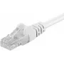 DSIT Cable de red patch CAT 5e U/UTP 0,25 m blanco CCA Gigabit Ethernet RJ45