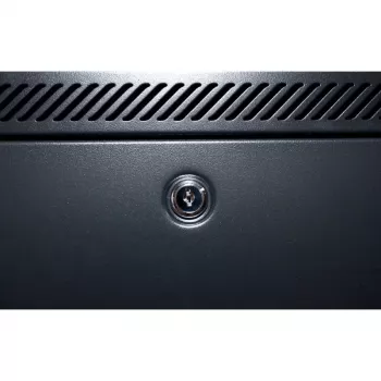 DSIT Armario servidor de pared 15U con puerta metálica 600x600x770mm negro