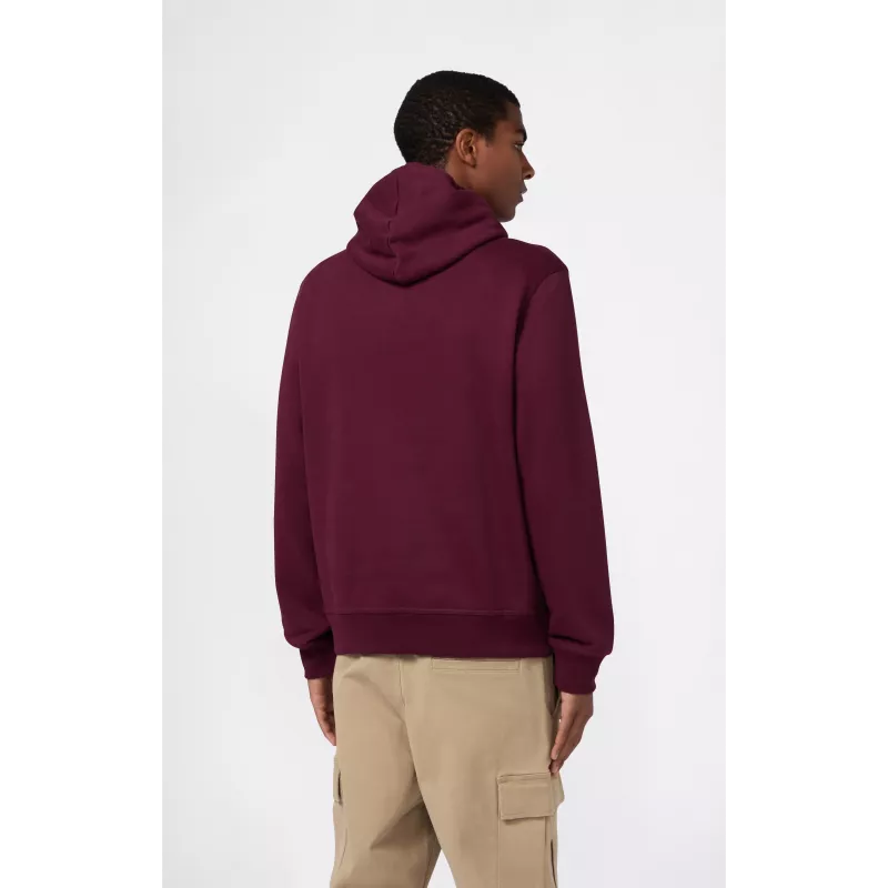 Champion Sudadera con capucha de hombre burdeos 220271 RS522 talla S