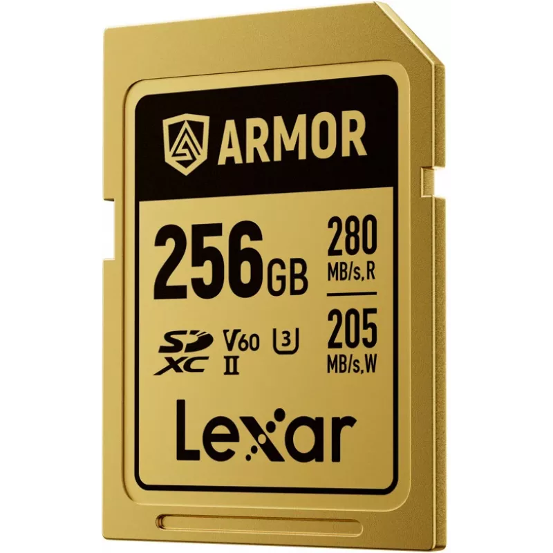 Lexar Professional ARMOR GOLD SDXC UHS-II tarjeta de memoria, 256 GB, V60 (LSDAMGL256G-RNNNG)