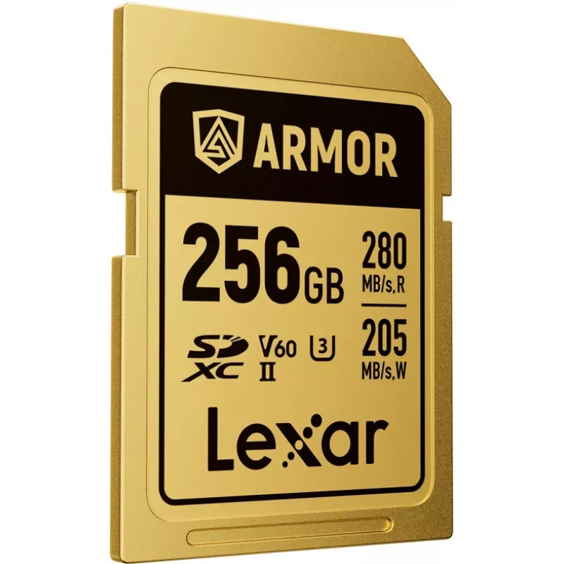 Lexar Professional ARMOR GOLD SDXC UHS-II tarjeta de memoria, 256 GB, V60 (LSDAMGL256G-RNNNG)