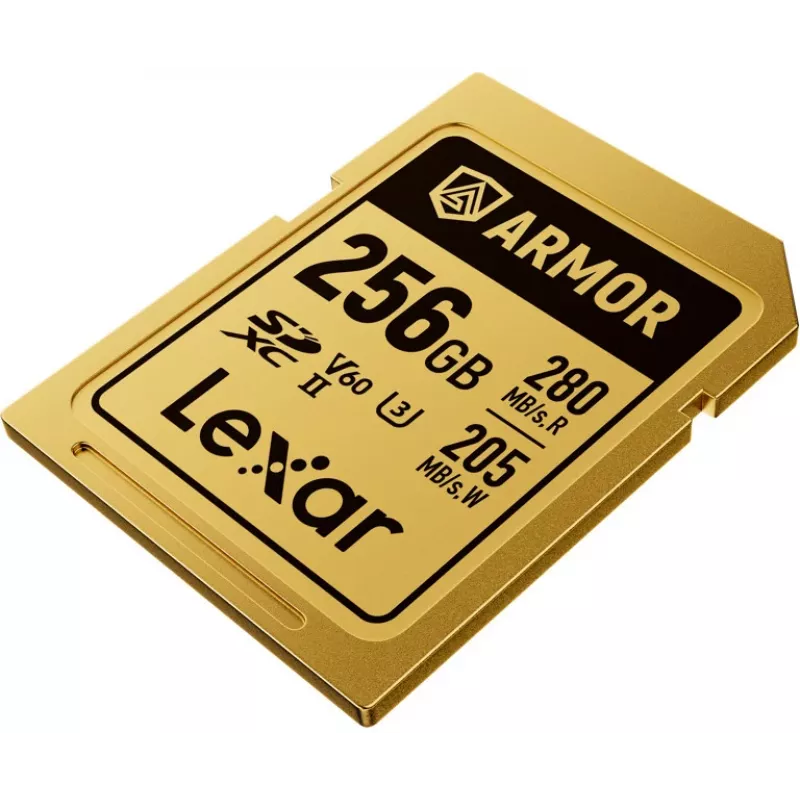 Lexar Professional ARMOR GOLD SDXC UHS-II tarjeta de memoria, 256 GB, V60 (LSDAMGL256G-RNNNG)