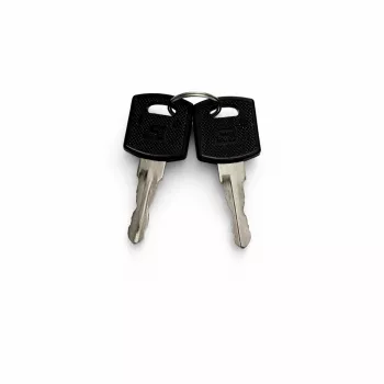 DSIT Juego de llaves de repuesto para puertas de armarios de servidor exteriores (9U-22U) - 2 llaves, DS-KEY-OUT-M