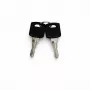 DSIT Juego de llaves de repuesto para puertas de armarios de servidor exteriores (9U-22U) - 2 llaves, DS-KEY-OUT-M