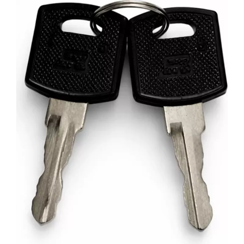 DSIT Juego de llaves de repuesto para puertas de armarios de servidor exteriores (9U-22U) - 2 llaves, DS-KEY-OUT-M