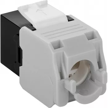 Conector de red keystone DS-IT CAT6a UTP - sin herramientas - negro (DS-KC-UTP6A-TL-1)