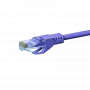 Cable de red DSIT CAT 6 U/UTP - 0,25 m - violeta - CCA (DC-C68-002)