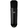 Micrófono de condensador de gran diafragma Warm Audio WA-87 R2 BL - níquel