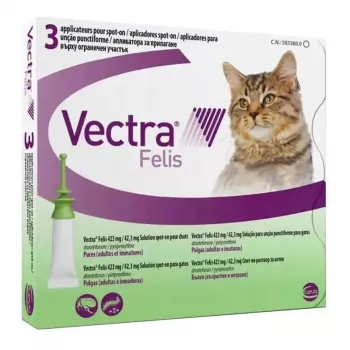 Ceva Vectra Felis tratamiento antipulgas spot-on para gatos – 3 pipetas