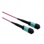 VALUE cable troncal MPO 50/125µm OM4, MPO/MPO, tipo A, violeta, 15 m