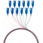 EFB Elektronik Pigtail de fibra óptica SC 9/125 OS2 set de 12 colores 2m - Set de cables/adaptadores monomodo