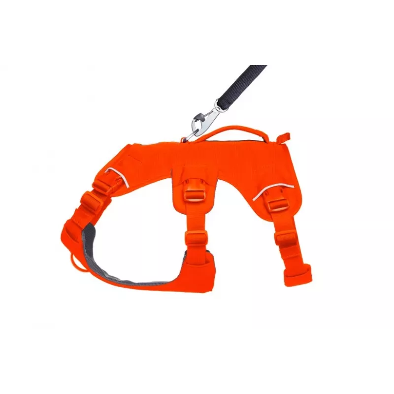 Ruffwear Web Master Arnés de soporte multiusos para perros, Blaze Orange, Talla M