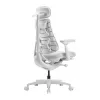 LiberNovo Omni GEN Silla ergonómica de 45 cm (blanco)