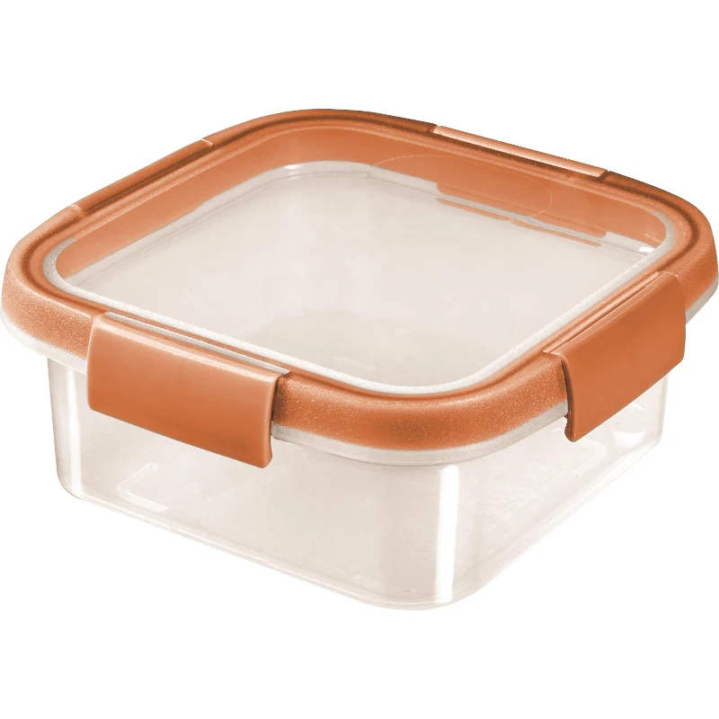 CURVER Smart Fresh Mix Fiambrera cuadrada para alimentos 0,9L