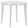 Keter Mesa de jardín Lisa blanca