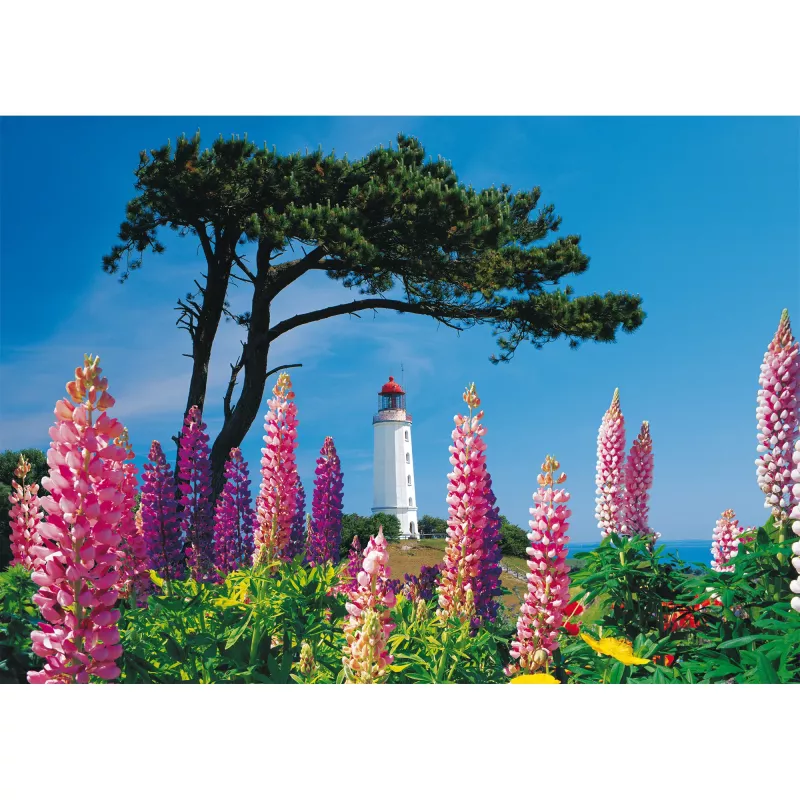 Schmidt Spiele Dornbusch Leuchtturm, Hiddensee puzzle de 1000 piezas