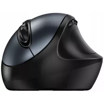 Genius Ergo 8300S ratón inalámbrico, 1600 DPI, negro/gris