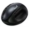 Genius Ergo 8300S ratón inalámbrico, 1600 DPI, negro/gris