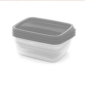 CURVER Set de cajas de almacenamiento rectangulares 3x1L Vedo Transparente Gris
