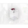 LEIFHEIT Fresh&Easy recipiente hermético para alimentos 1,6L, sin BPA, transparente con tapa verde