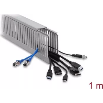 Delock canaleta para cables 40 x 100 mm, longitud 1 m, gris