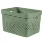 CURVER Infinity Recycled Box 17L 36x27x22cm verde