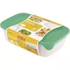 Curver Fresh & Go set de cajas de almacenamiento, 3 recipientes rectangulares, 2L + 1L + 0,5L, transparentes con tapas herméticas de colores