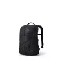 Gregory Terros 20 Mochila para portátil 20L Black Lichen