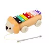 LEAN TOYS León de arrastre con ruedas juguete musical para niños pequeños, instrumento de aprendizaje multicolor