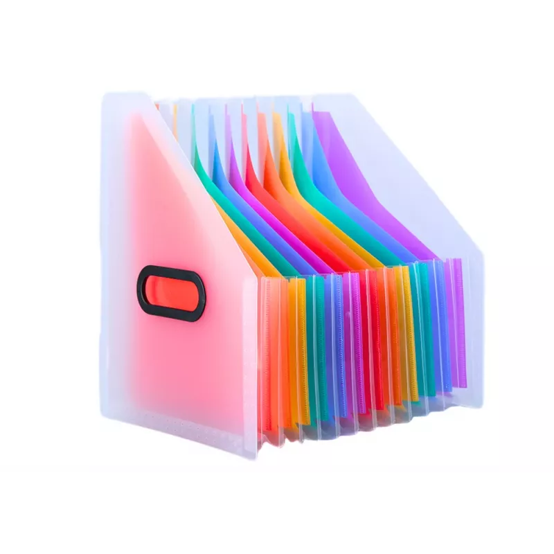 LEAN Organizador de documentos vertical carpeta con pestañas de colores y compartimentos A4
