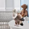 LEAN TOYS Buitre de peluche pájaro peluche mascota peluche 25cm