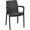 KETER Silla de jardín Bali Mono gris