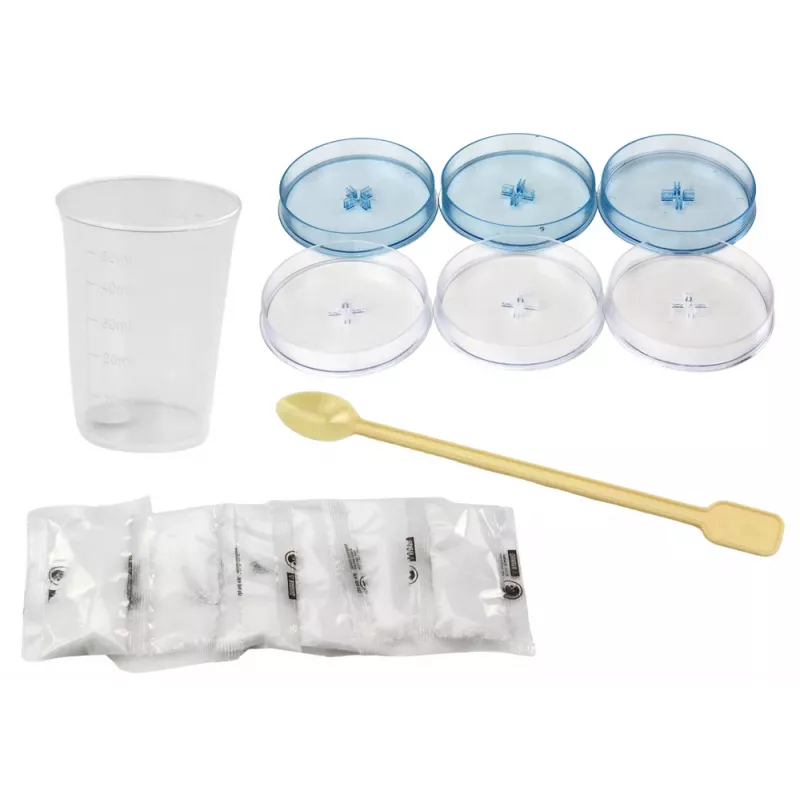LEAN TOYS Set creativo de aprendizaje para cultivar árboles de cristal