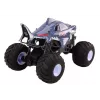 LEAN TOYS Coche todoterreno teledirigido grande 2,4G RC 1:6 Shark