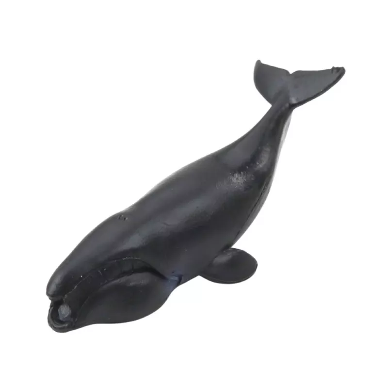 LEAN TOYS Set de mini figuras animales marinos mamíferos orca foto delfín 6-8cm 6uds