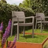 KETER silla de jardín Tisara beige