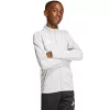 Sudadera de entrenamiento adidas Entrada 26 para niños gris claro JZ6610 116cm