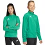 Camiseta de entrenamiento adidas Entrada 26 niños verde JZ6632 140cm