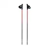 Bastones de Nordic Walking Pro Trainer 110cm Viking rojo/negro