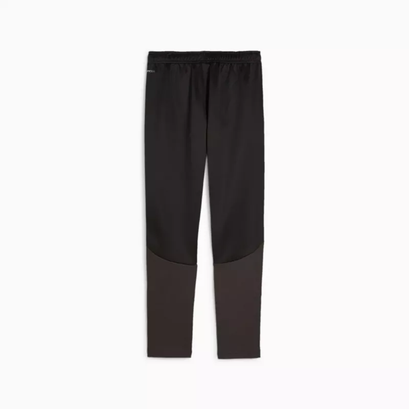 Pantalón para niños Puma Team Goal Training negro 658641 03 152cm